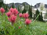 Cdn Rockies Adventure (Aug 2010) - Talus - 011
